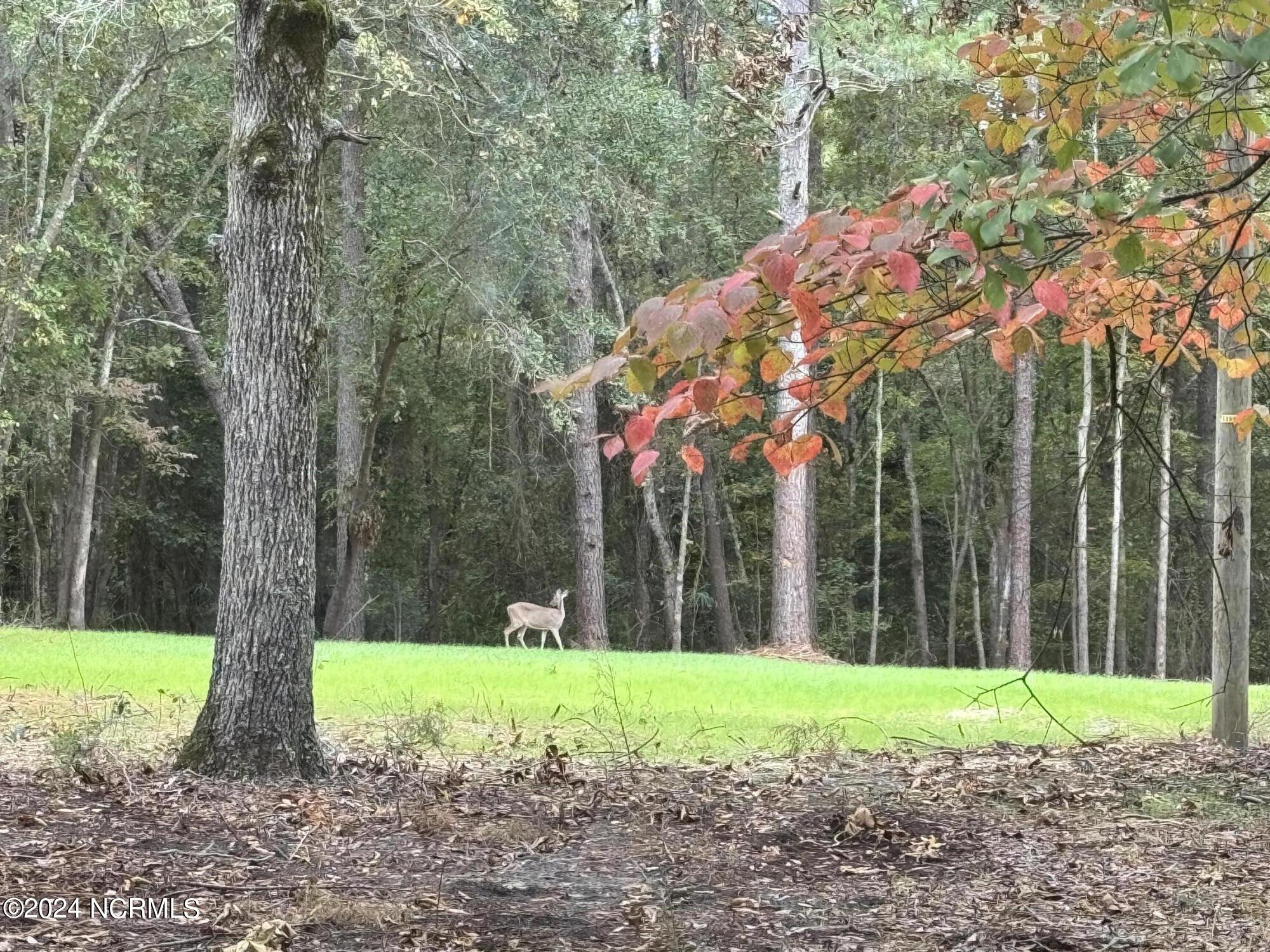 948 Aiken Road Vass, NC 28394 - Photo 3 of 12 IMG_9297