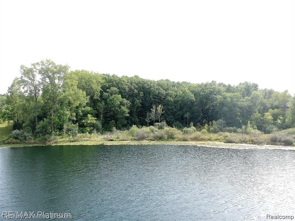 0 Demode Parcel A Road Holly, MI 48442 - Photo 6 of 7