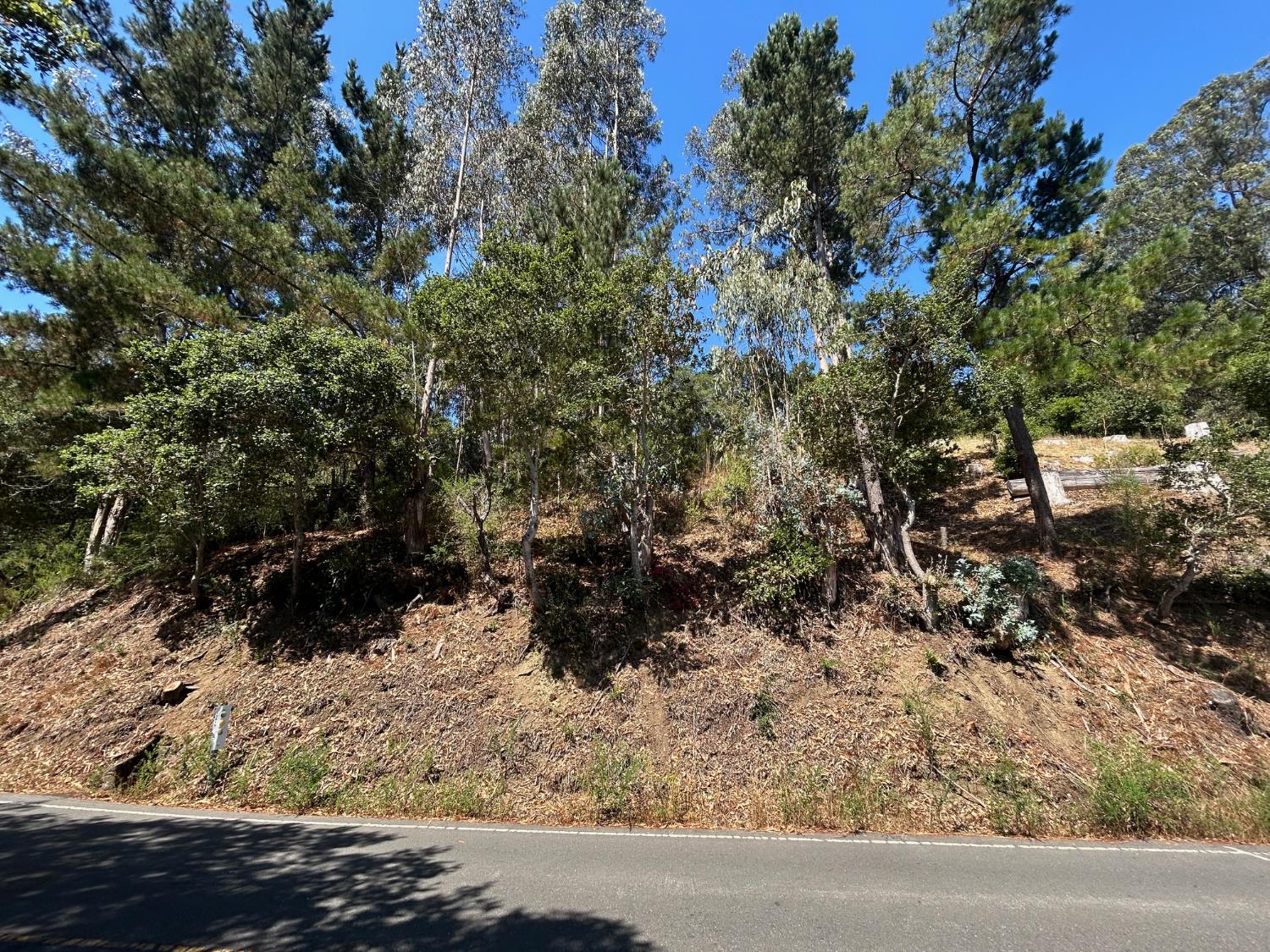 0 Wildcat Canyon Road Berkeley, CA 94708 - Photo 4 of 10 a view of a yard with trees