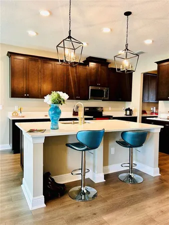 $4,100 | 33234 Sycamore Leaf Drive, Wesley Chapel, FL 33545