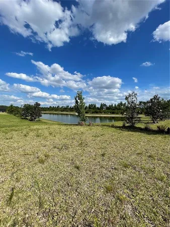 $4,200 | 33234 Sycamore Leaf Drive, Wesley Chapel, FL 33545