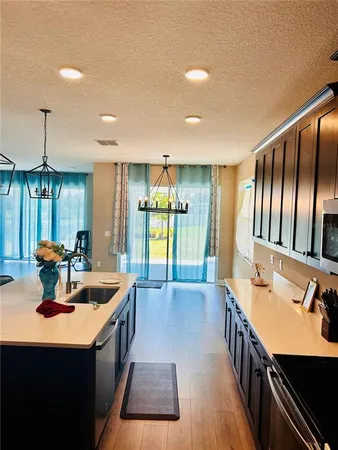 $4,100 | 33234 Sycamore Leaf Drive, Wesley Chapel, FL 33545