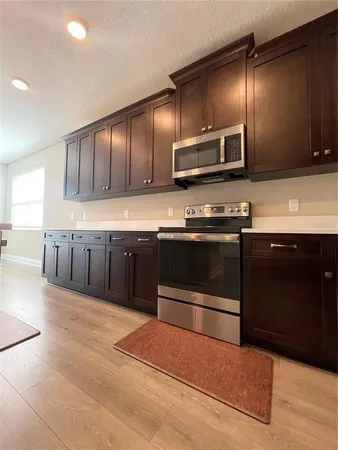 $4,200 | 33234 Sycamore Leaf Drive, Wesley Chapel, FL 33545