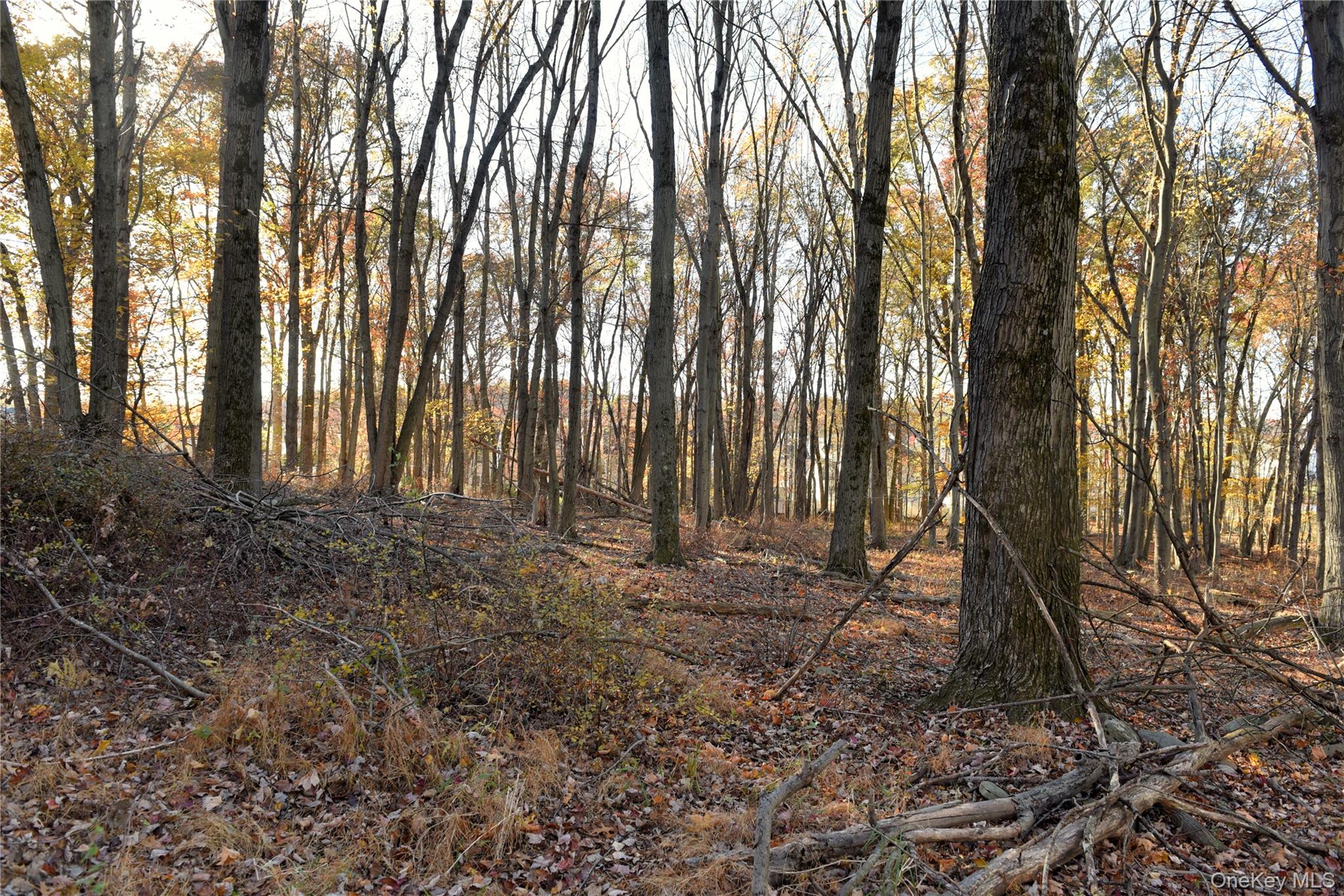 610 Mt Airy Road New Windsor, NY 12553 - Photo 24 of 28