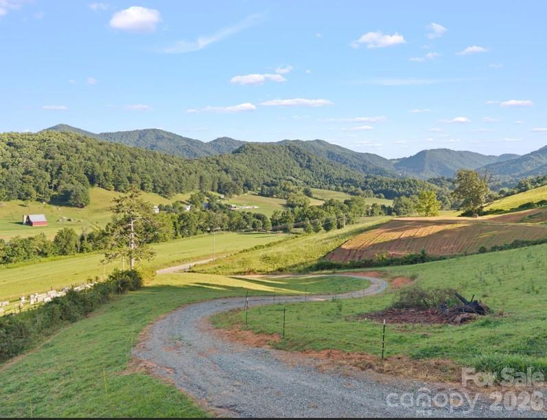 411 Big Sandy Mush Road Leicester, NC 28748 - Photo 13 of 26 Gallery Image 13