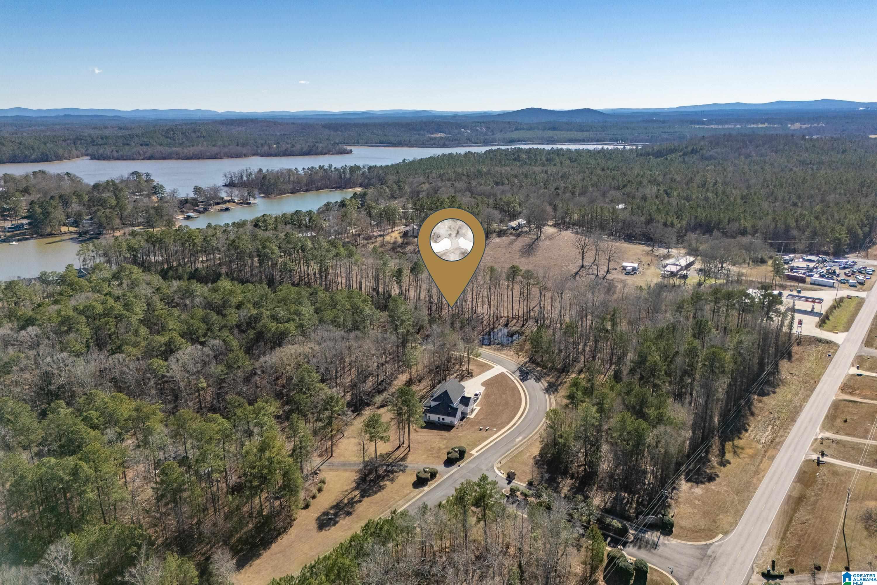 100 Coves Drive Vincent, AL 35178 - Photo 4 of 21