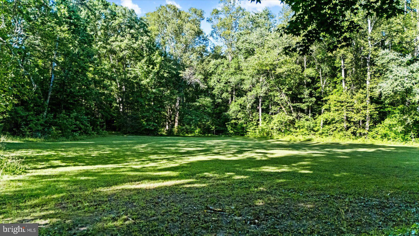 2510 Broad St Road Gum Spring, VA 23065 - Photo 53 of 61