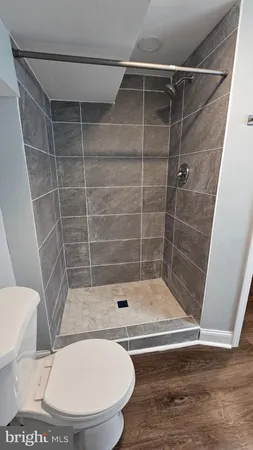 a bathroom with a shower and a toilet
