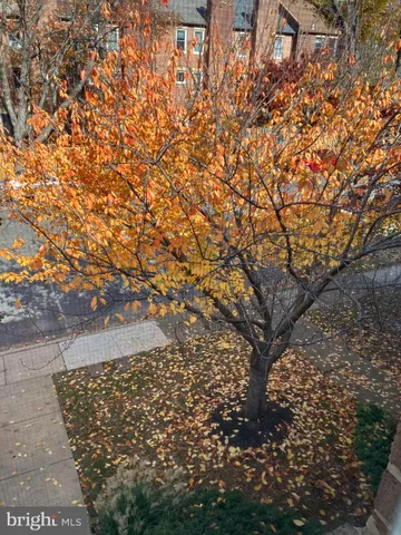 $3,250 | 10195 Valentino Drive, Oakton, VA 22124