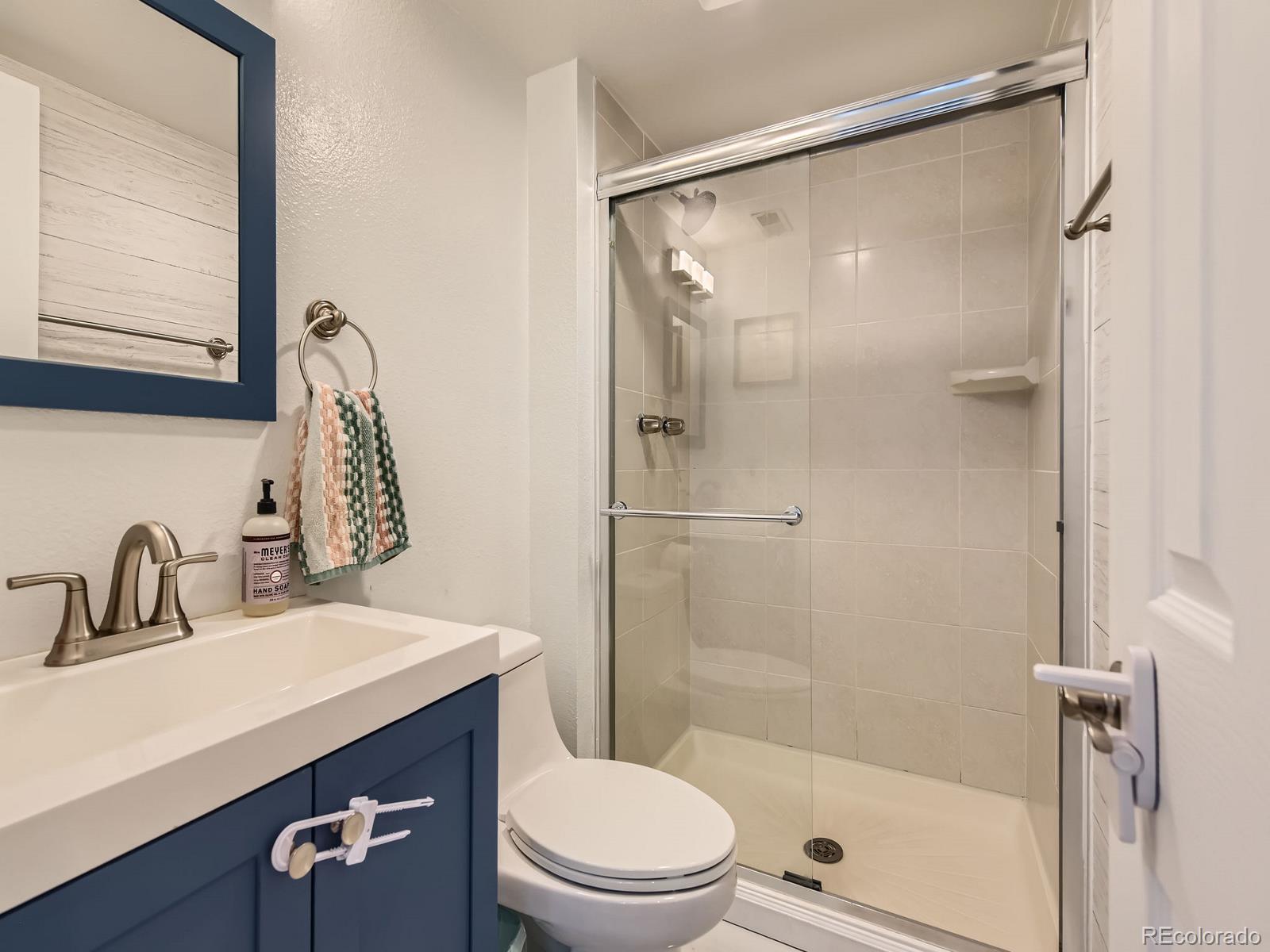 745 Stowe Street Highlands Ranch, CO 80126 - Photo 12 of 22