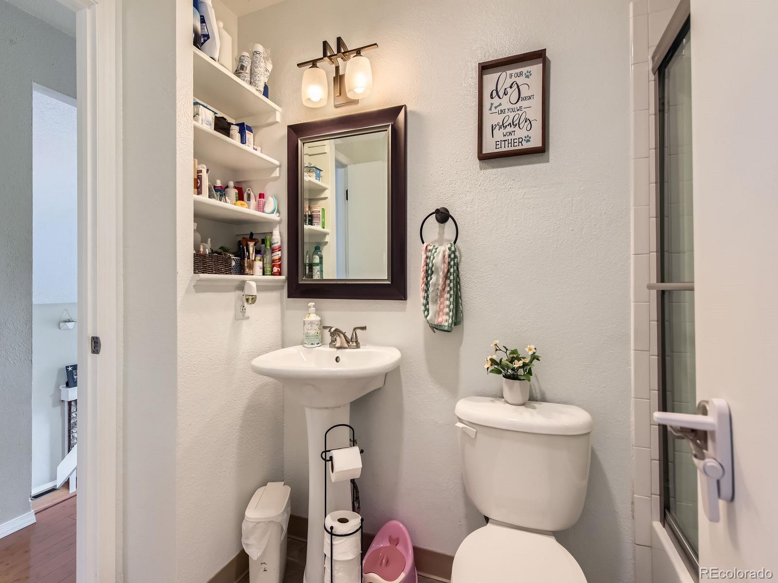 745 Stowe Street Highlands Ranch, CO 80126 - Photo 7 of 22