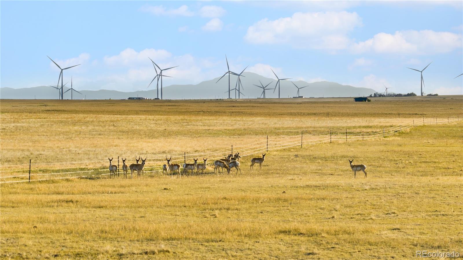 36565 Hanisch Road Calhan, CO 80808 - Photo 26 of 48