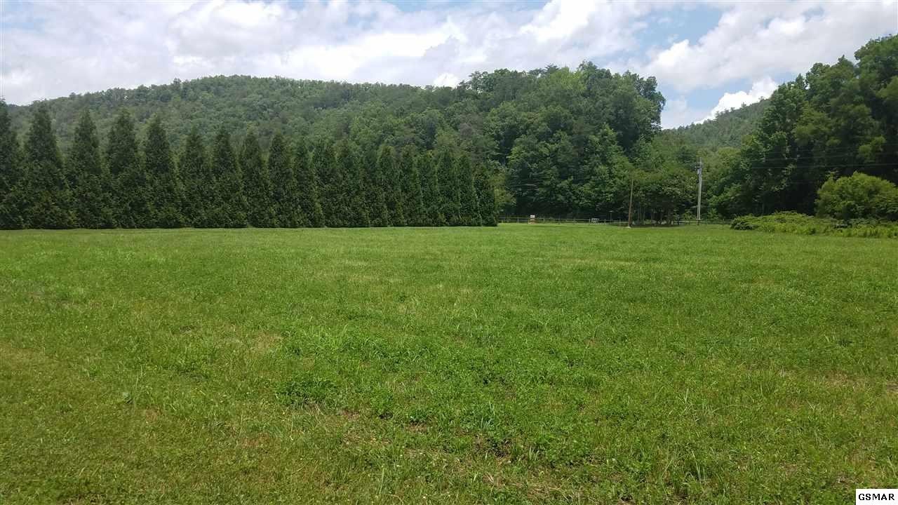 137 River Rpds Way Del Rio, TN 37727 - Photo 2 of 13 Gallery Image 2