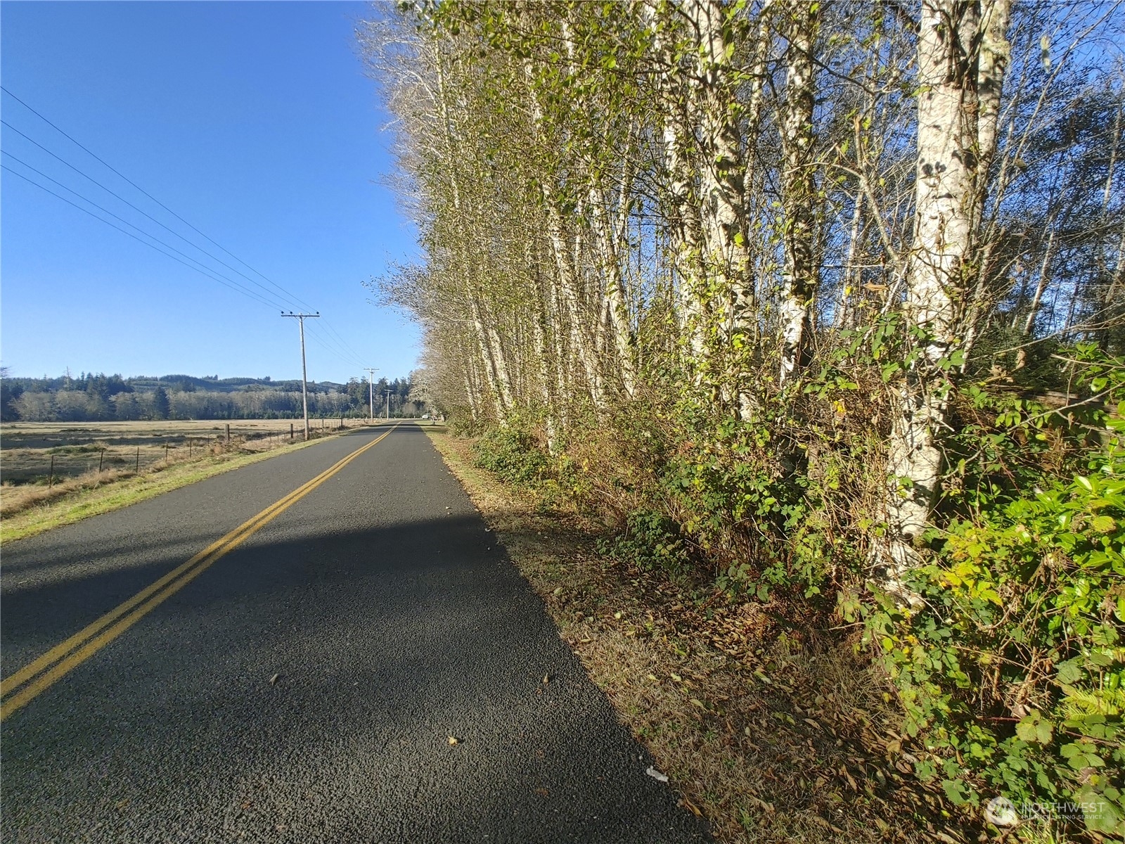 999 Clearwater Road Forks, WA 98331 - Photo 1 of 18 Gallery Image 1