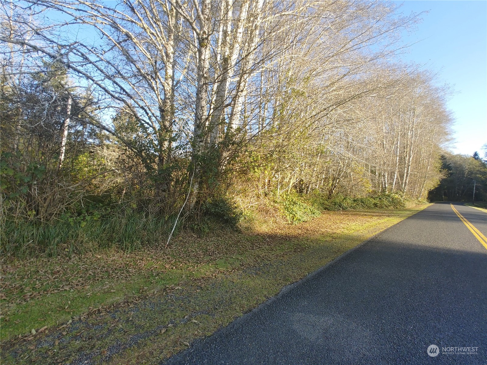 999 Clearwater Road Forks, WA 98331 - Photo 18 of 18 Gallery Image 18