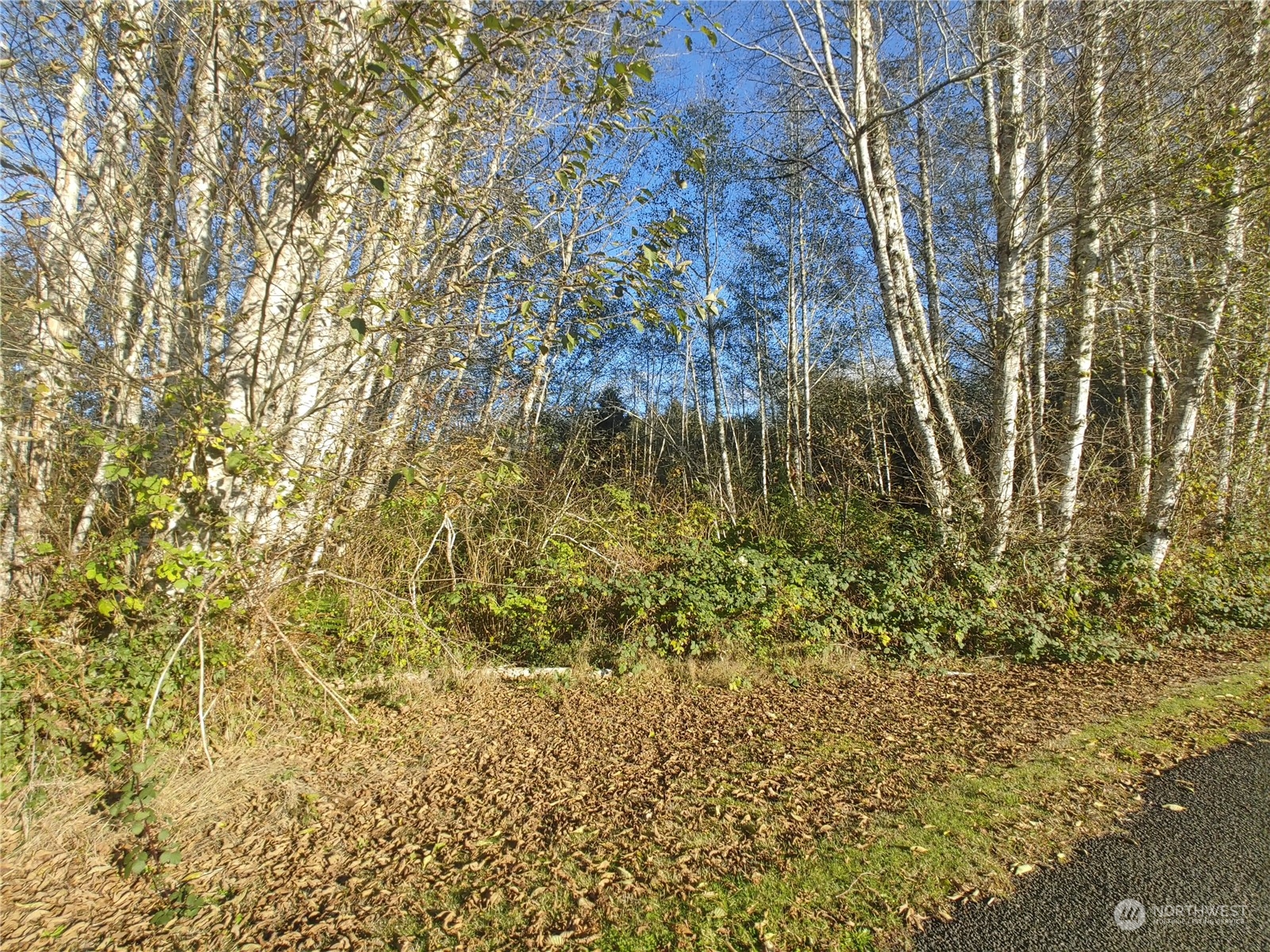 999 Clearwater Road Forks, WA 98331 - Photo 2 of 18 Gallery Image 2