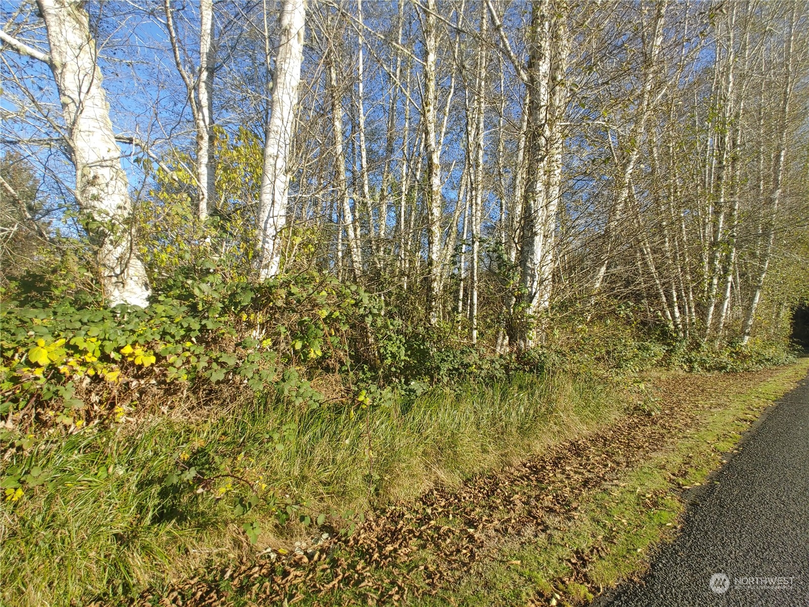 999 Clearwater Road Forks, WA 98331 - Photo 3 of 18 Gallery Image 3
