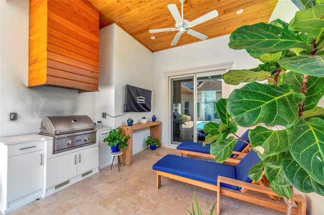 a room with furniture a potted plant and a fireplace