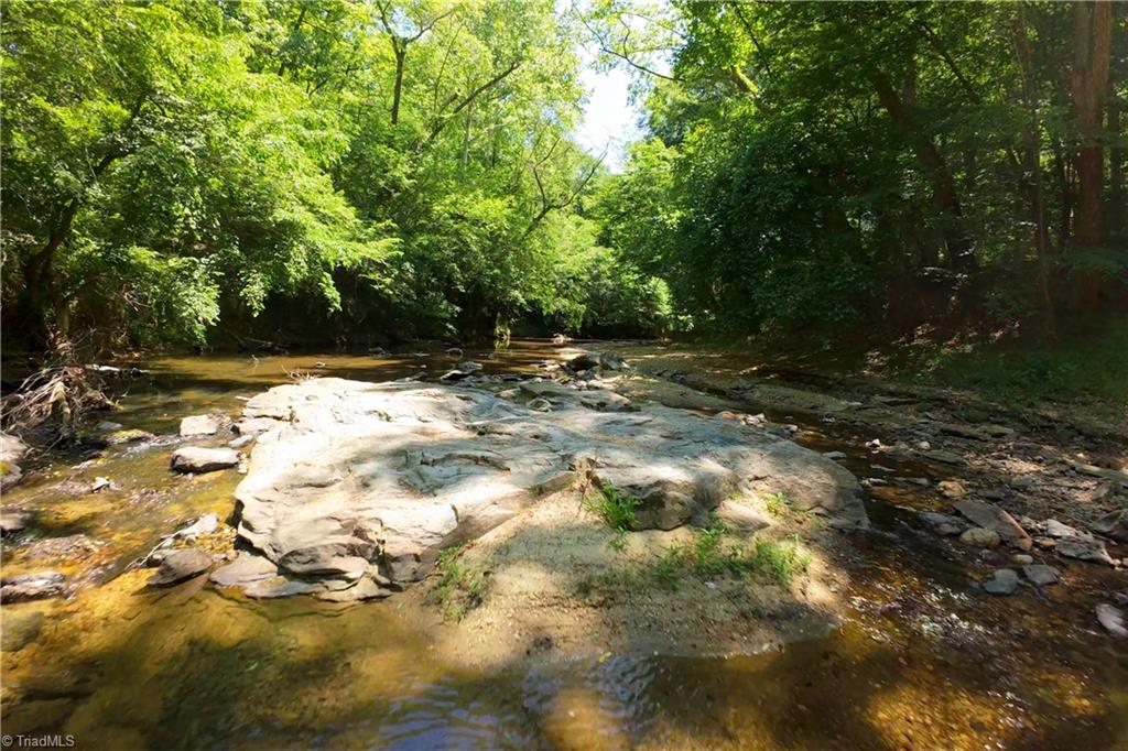 9 Roby Fulk Road Pinnacle, NC 27043 - Photo 12 of 17