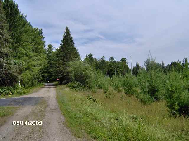 26 & Old Cemetary Road Tower, MN 55790 - Photo 3 of 8
