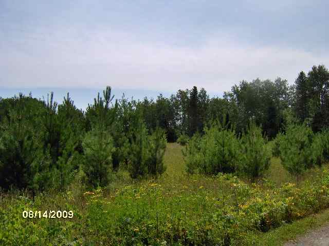 26 & Old Cemetary Road Tower, MN 55790 - Photo 4 of 8
