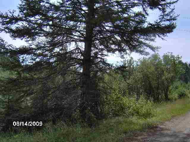 26 & Old Cemetary Road Tower, MN 55790 - Photo 6 of 8
