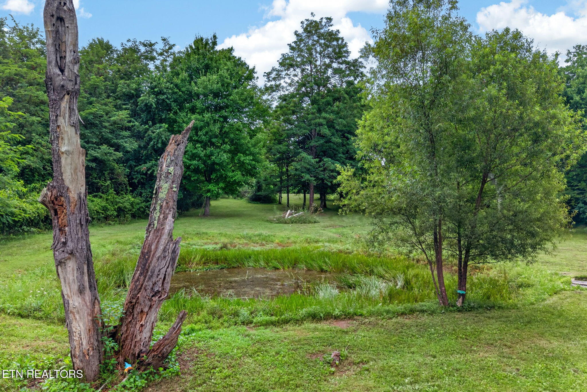 198 Byers Road Crossville, TN 38571 - Photo 25 of 27 10-web-or-mls-198 Byers Rd_12
