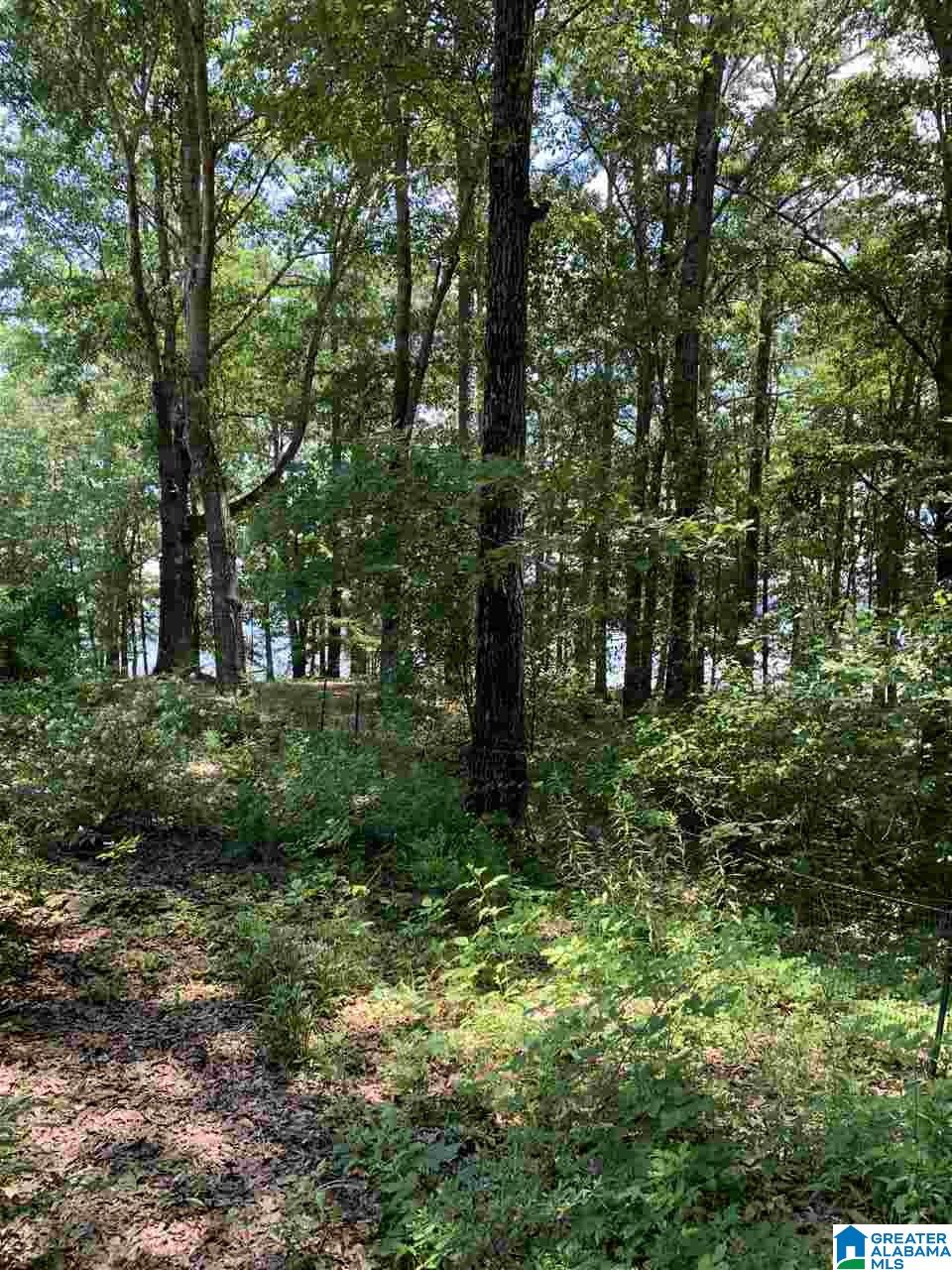 2800 Griffitt Bend Road Talladega, AL 35160 - Photo 40 of 40