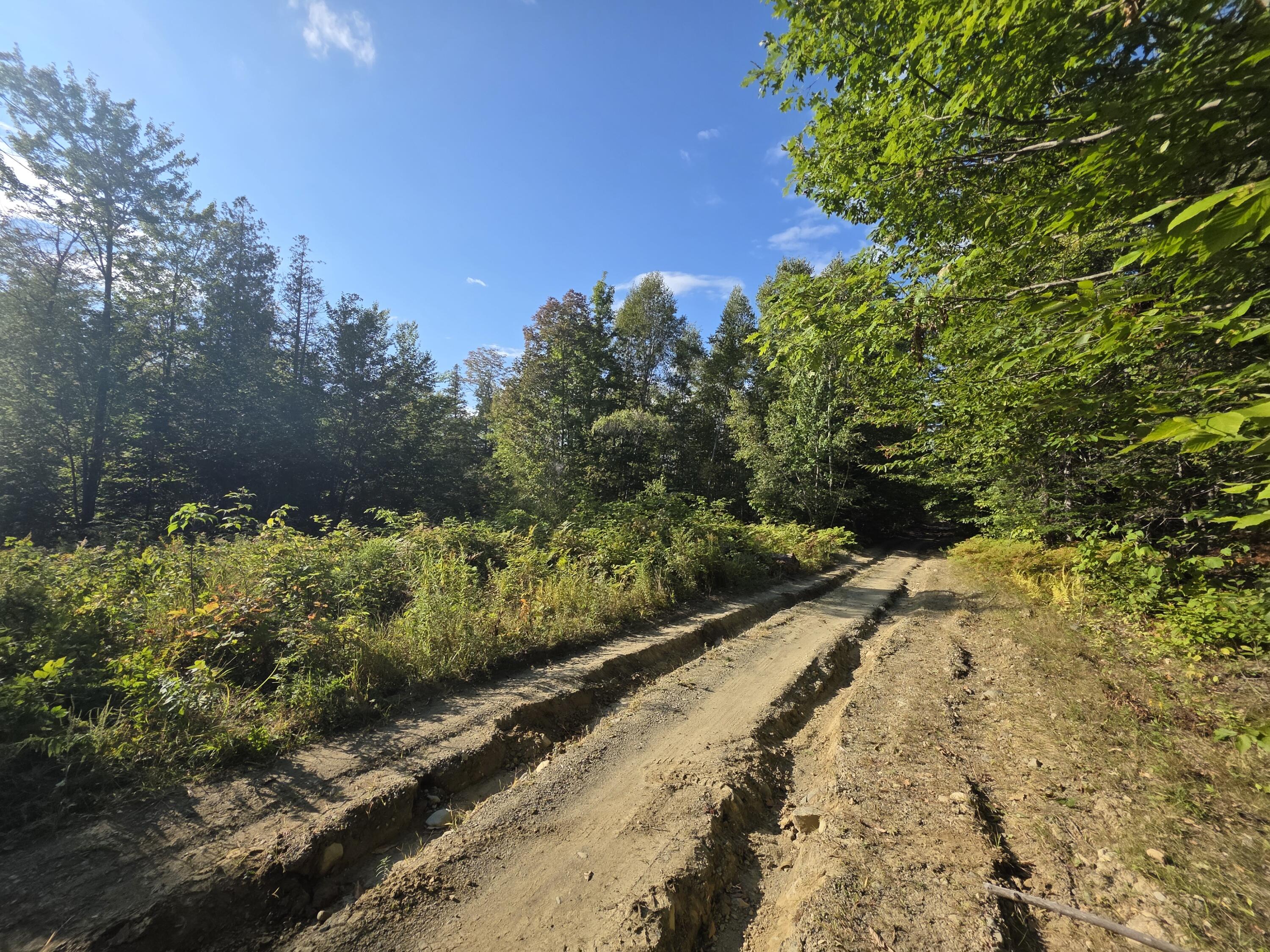 Tbd Tbd Woodcock Road St. Albans, ME 04971 - Photo 2 of 10 20250914_155232