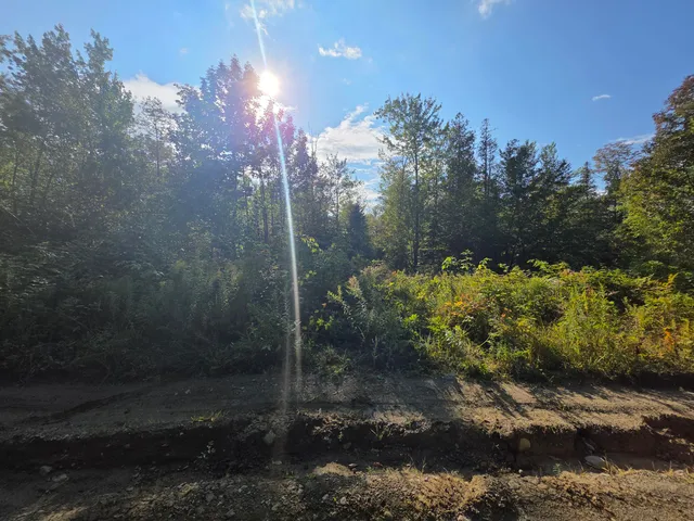 $59,900 | Tbd Tbd Woodcock Road, St. Albans, ME 04971