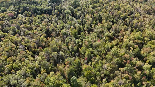 $59,900 | Tbd Tbd Woodcock Road, St. Albans, ME 04971