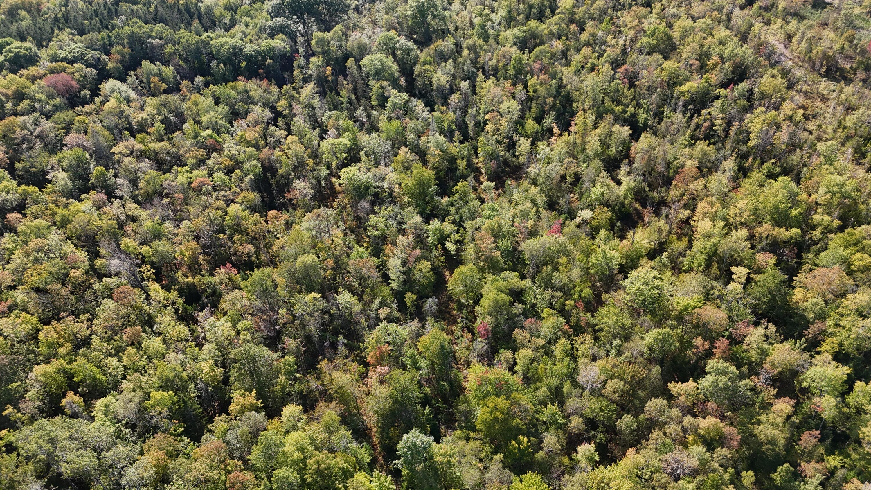 Tbd Tbd Woodcock Road St. Albans, ME 04971 - Photo 5 of 10 DJI_20250915034504_0007_D