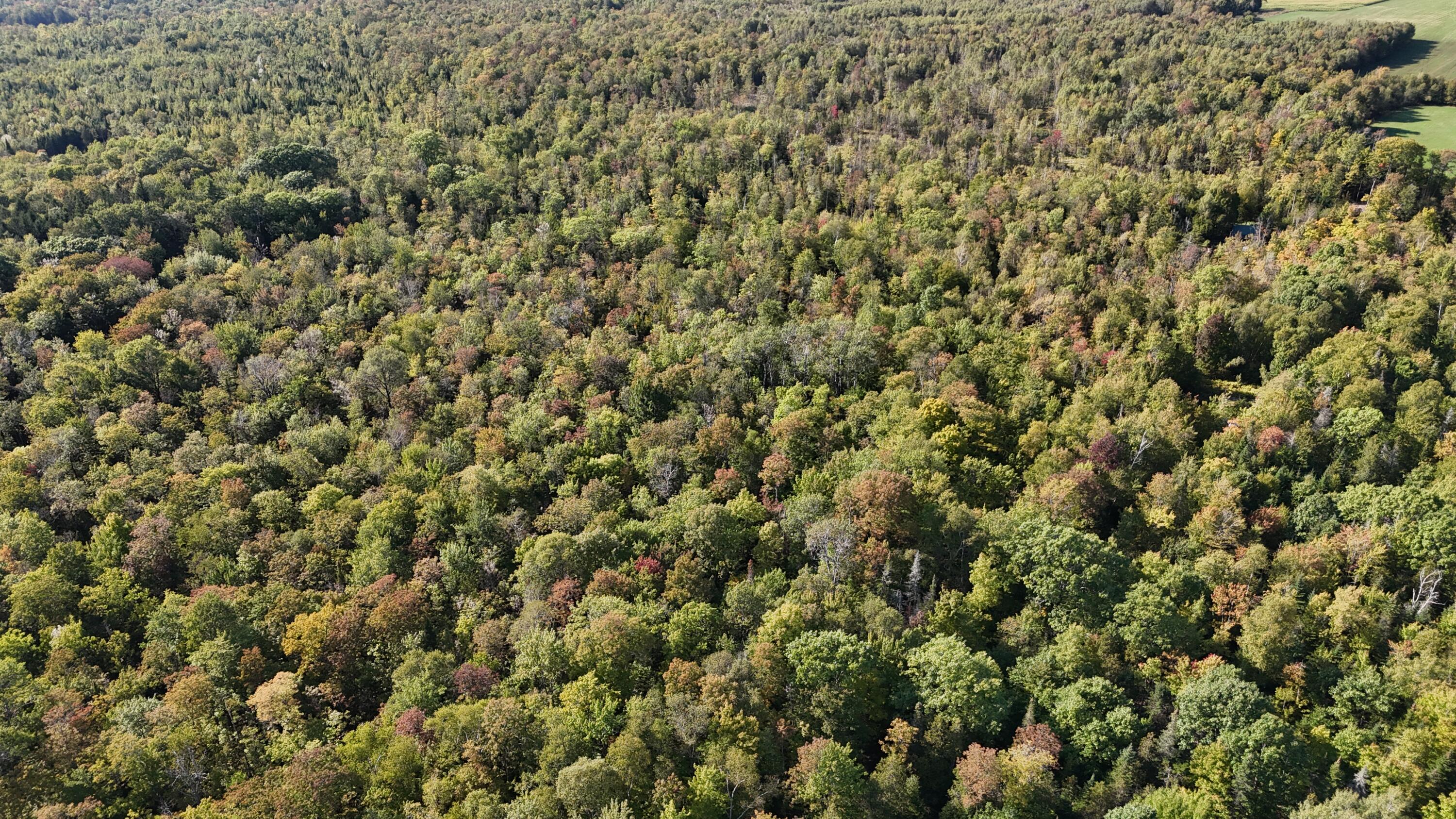 Tbd Tbd Woodcock Road St. Albans, ME 04971 - Photo 6 of 10 DJI_20250915034600_0008_D