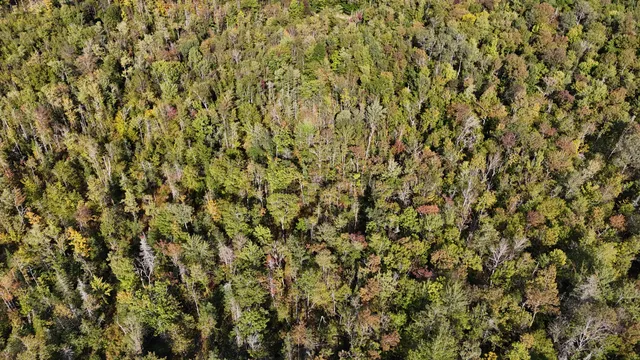 $59,900 | Tbd Tbd Woodcock Road, St. Albans, ME 04971