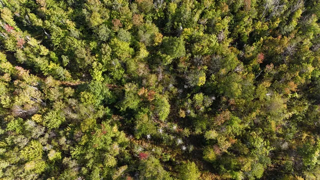 $59,900 | Tbd Tbd Woodcock Road, St. Albans, ME 04971