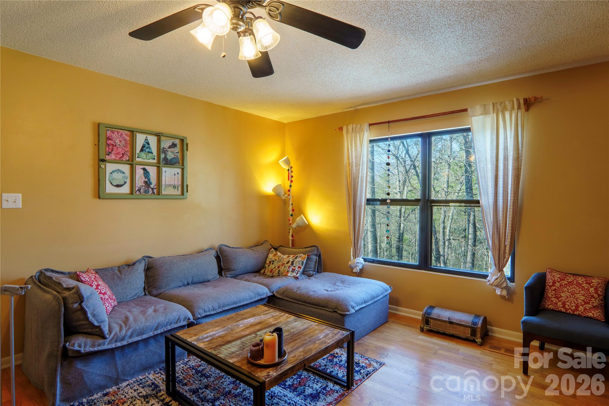 84 Forest Trail Balsam Grove, NC 28708 - Photo 11 of 45 a living room with furniture a rug and a window