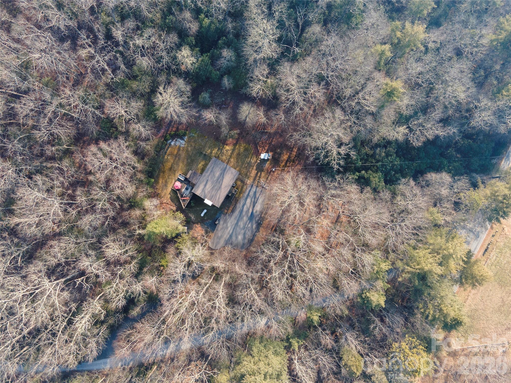 84 Forest Trail Balsam Grove, NC 28708 - Photo 44 of 45 a backyard of a house with lots of green space