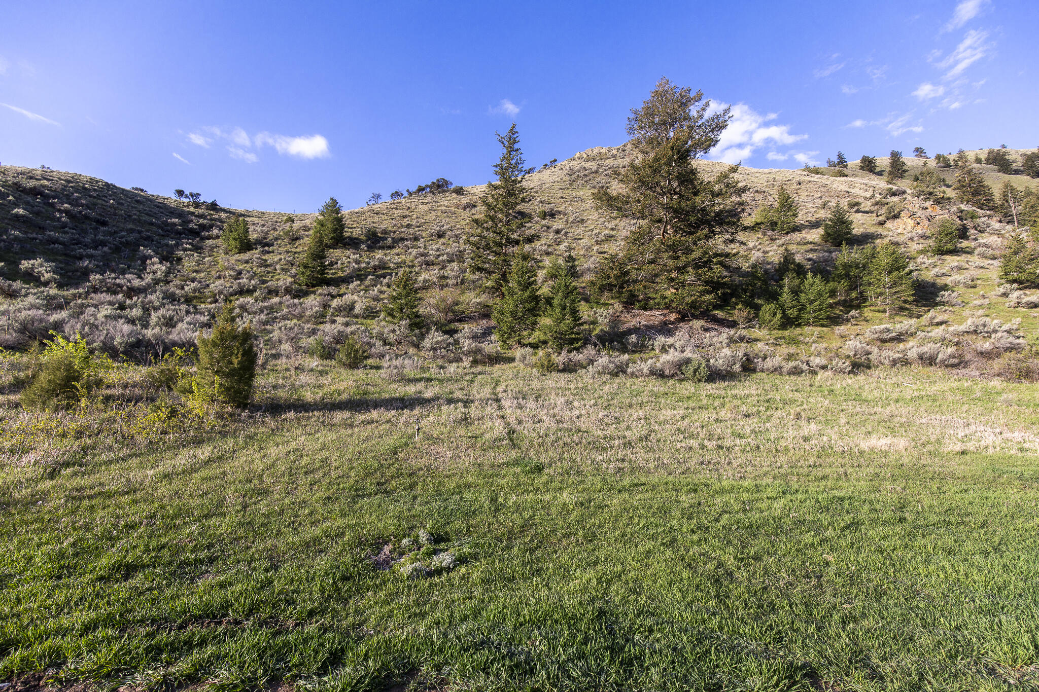 37 Canyon View Road Salmon, ID 83467 - Photo 63 of 66 63