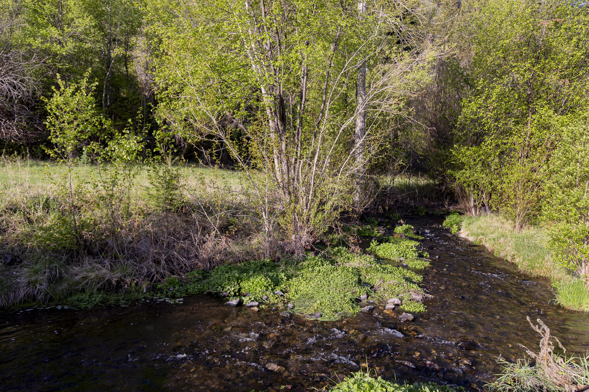 37 Canyon View Road Salmon, ID 83467 - Photo 64 of 66 64