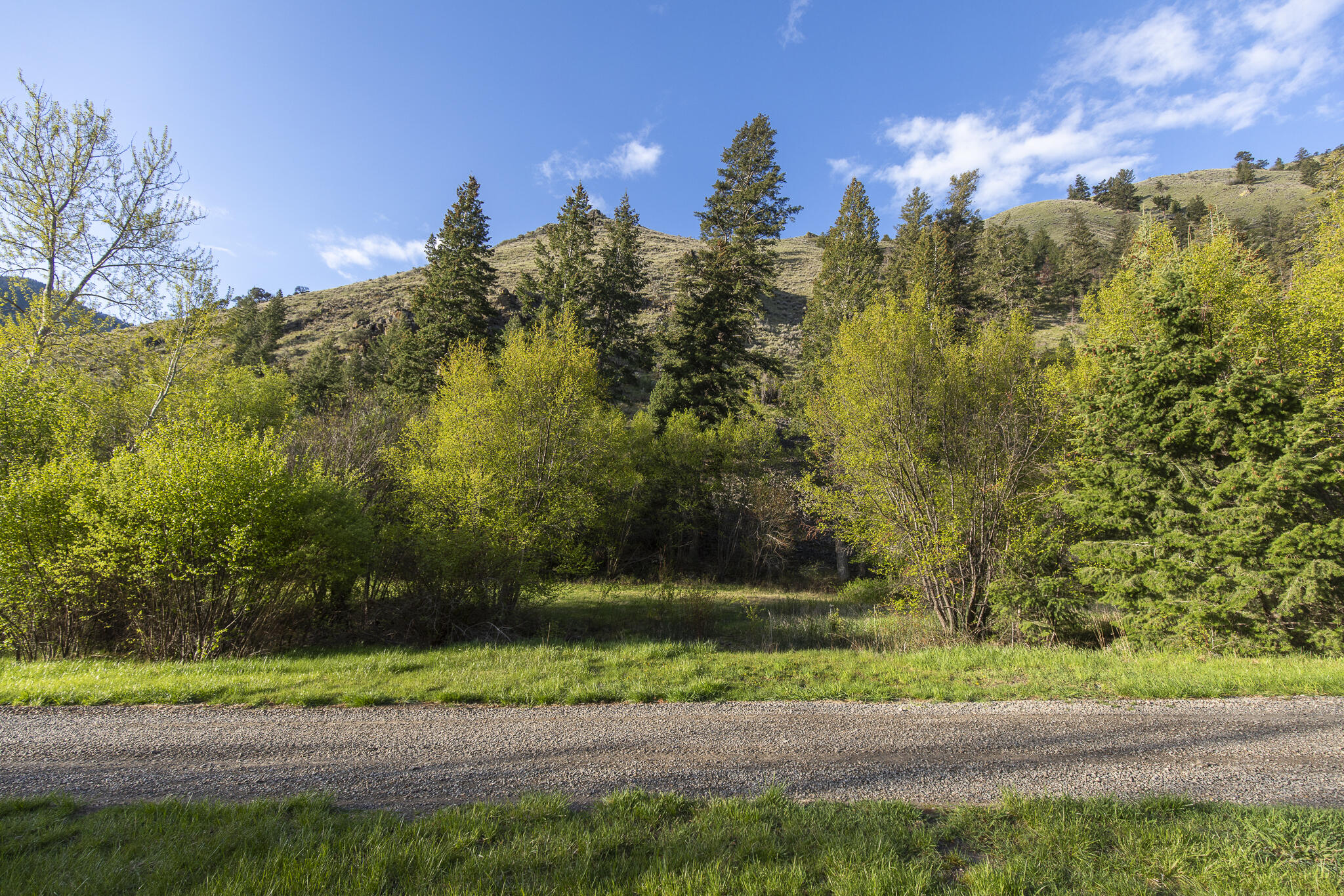 37 Canyon View Road Salmon, ID 83467 - Photo 65 of 66 65