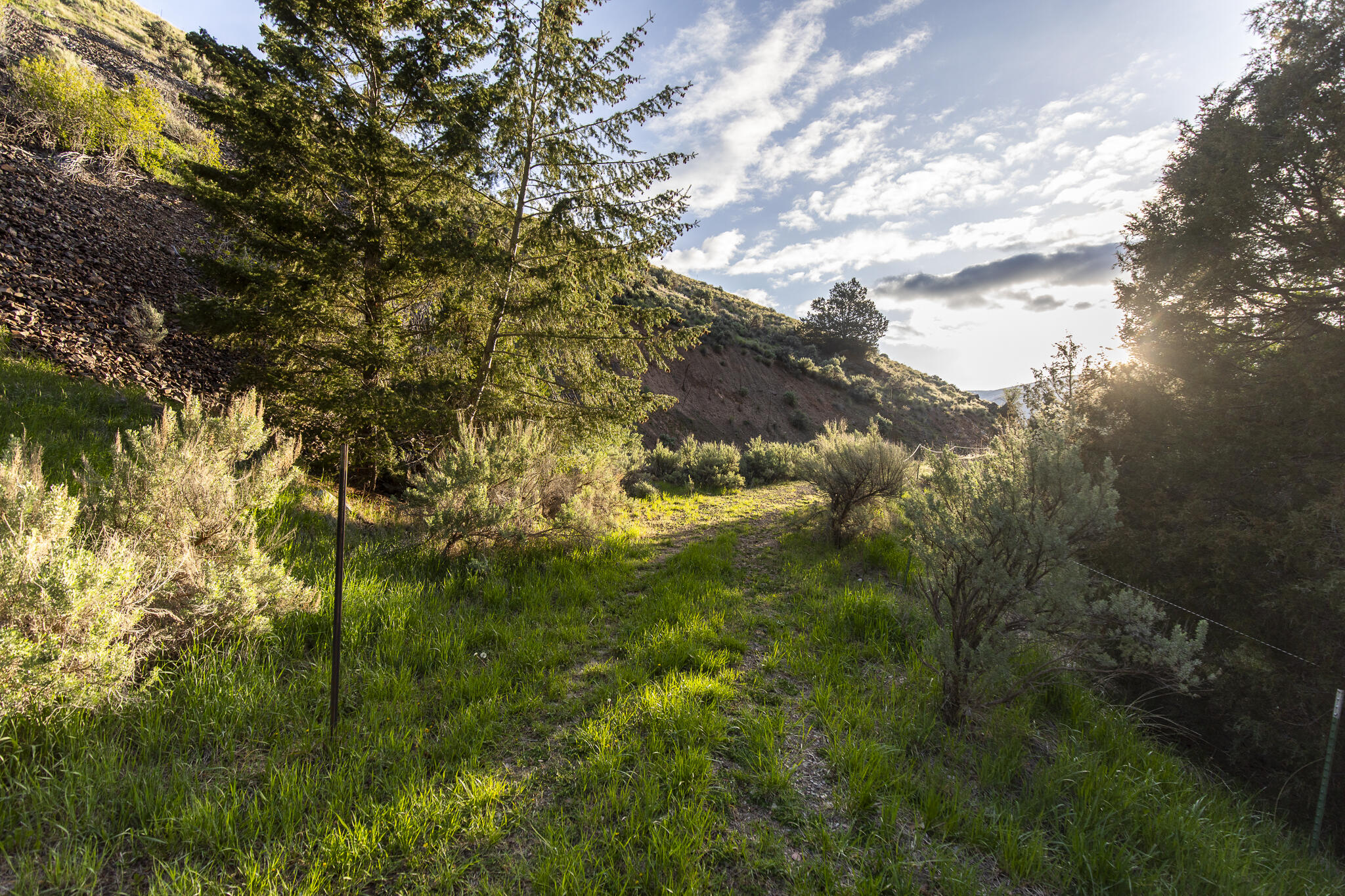 37 Canyon View Road Salmon, ID 83467 - Photo 66 of 66 66