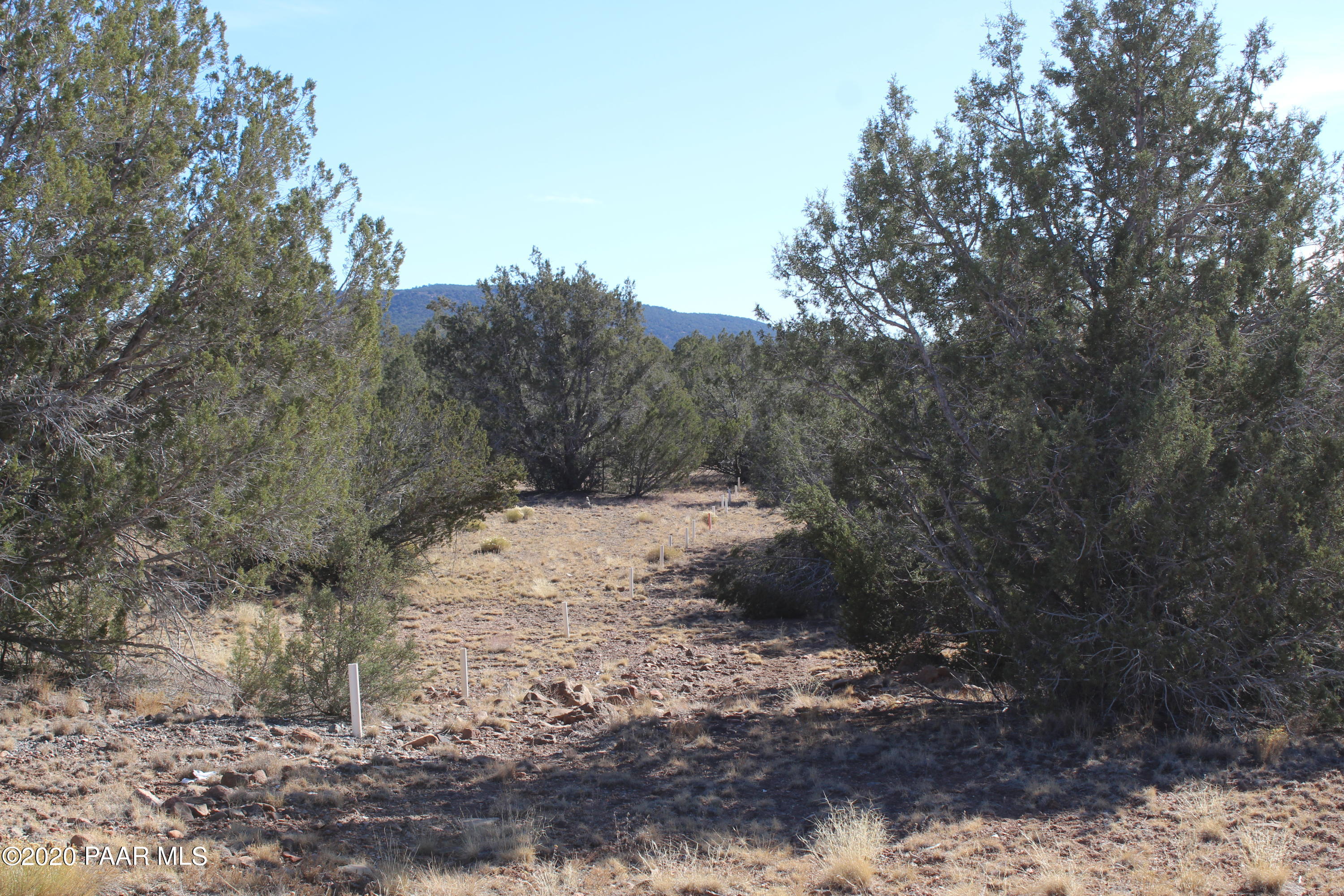 Tbd Fort Rock Road Seligman, AZ 86337 - Photo 2 of 8 mountains at the back