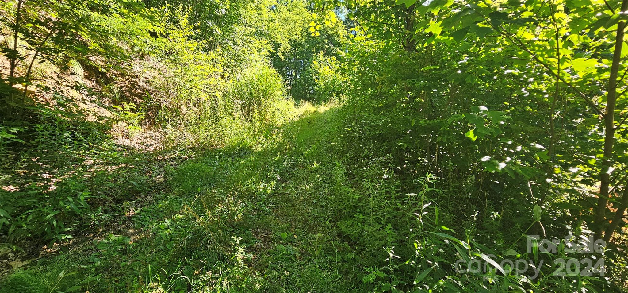 8-lots Frontier Way Waynesville, NC 28785 - Photo 18 of 27