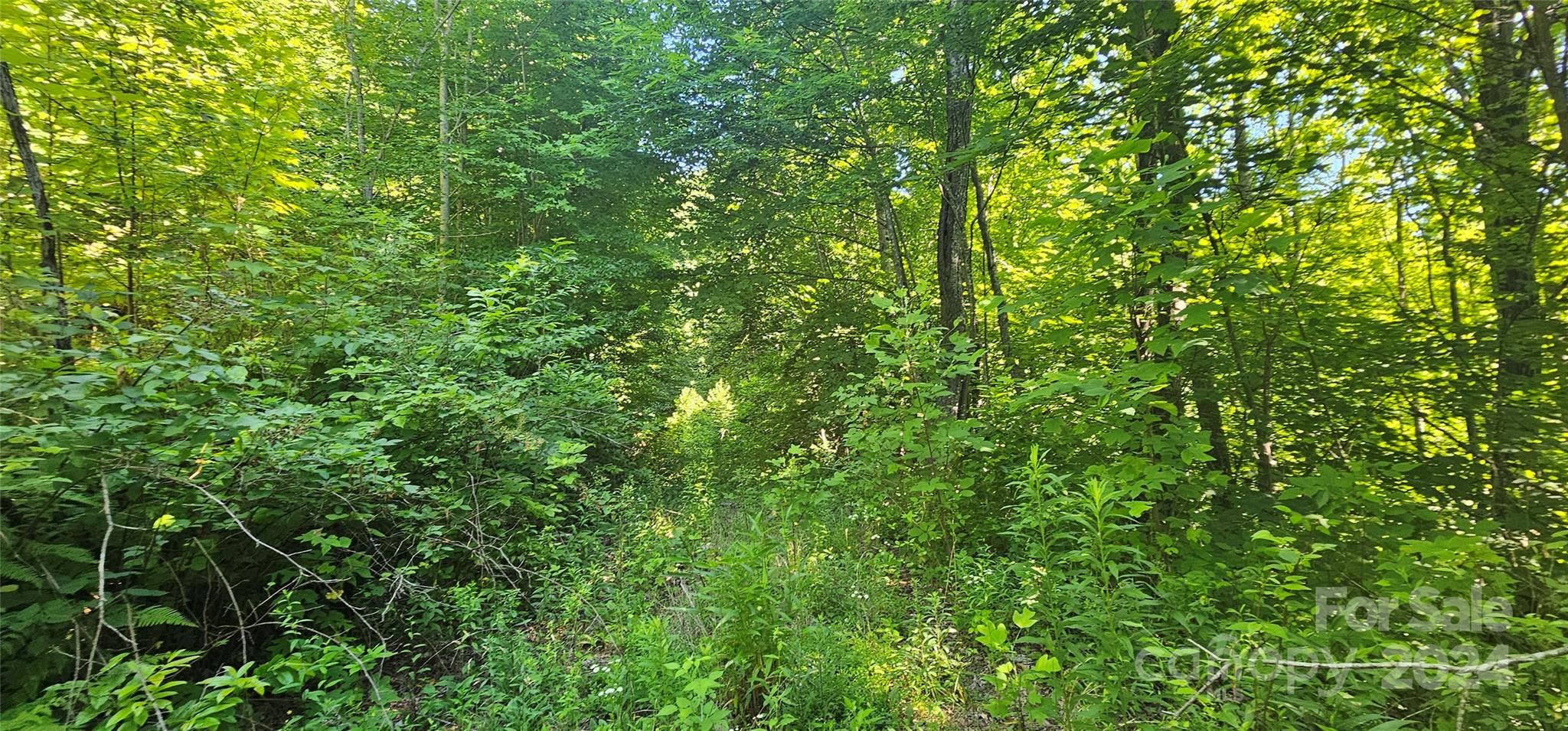 8-lots Frontier Way Waynesville, NC 28785 - Photo 20 of 27