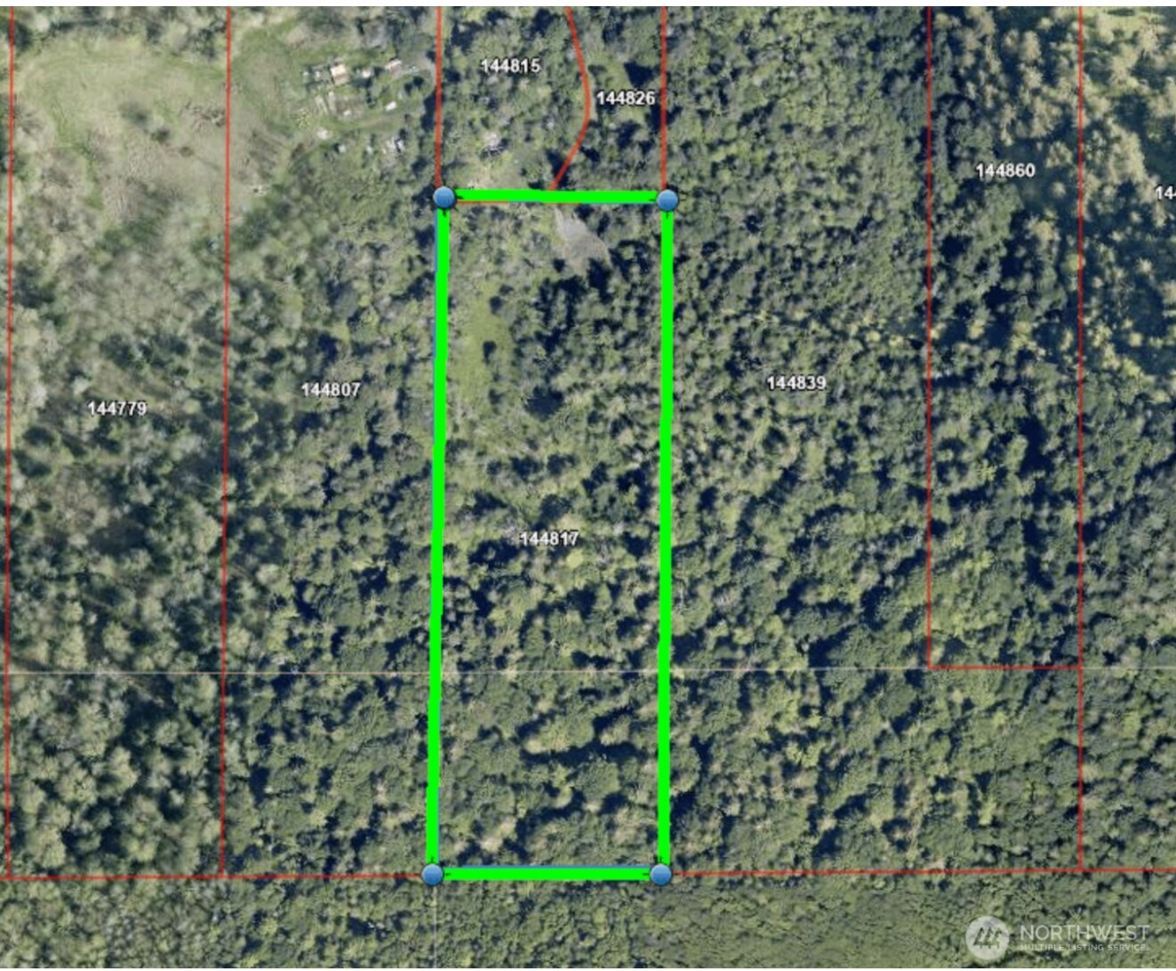 7019 Mt Baker Highway Deming, WA 98244 - Photo 1 of 1 a close up of a plant