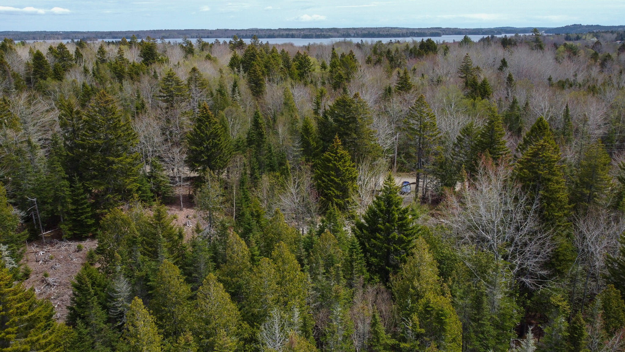 58 High Head Road East Machias, ME 04630 - Photo 1 of 17 HLCZ5455
