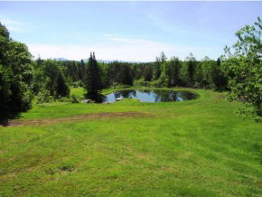 0 Dunbar Road Glover, VT 05839 - Photo 15 of 21