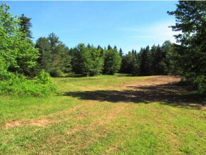 0 Dunbar Road Glover, VT 05839 - Photo 17 of 21