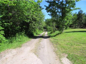 0 Dunbar Road Glover, VT 05839 - Photo 19 of 21