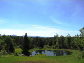 0 Dunbar Road Glover, VT 05839 - Photo 3 of 21